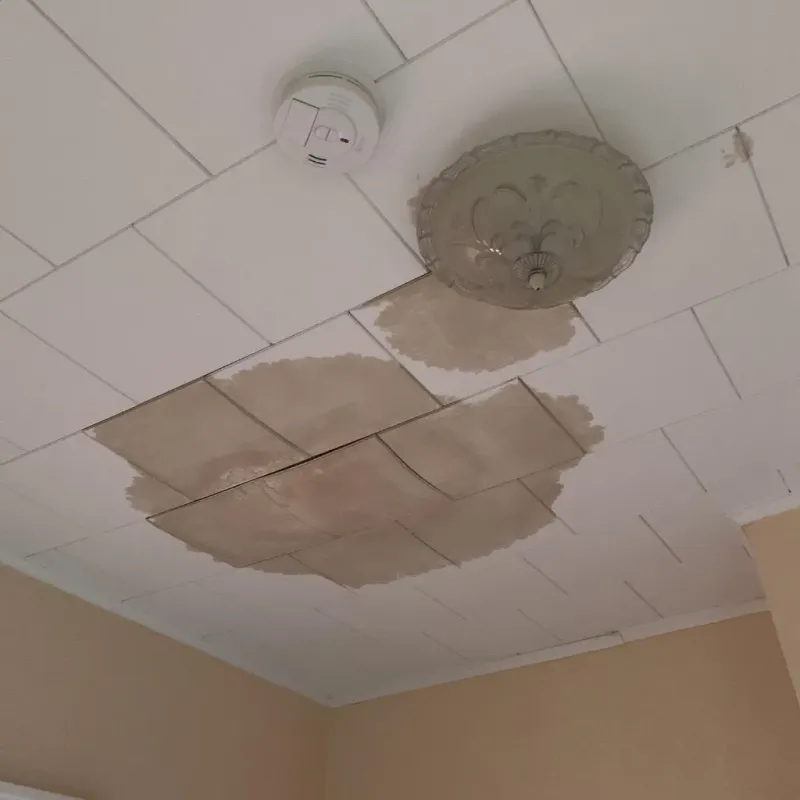 Ceiling Water Damage Repair in Crossville, TN