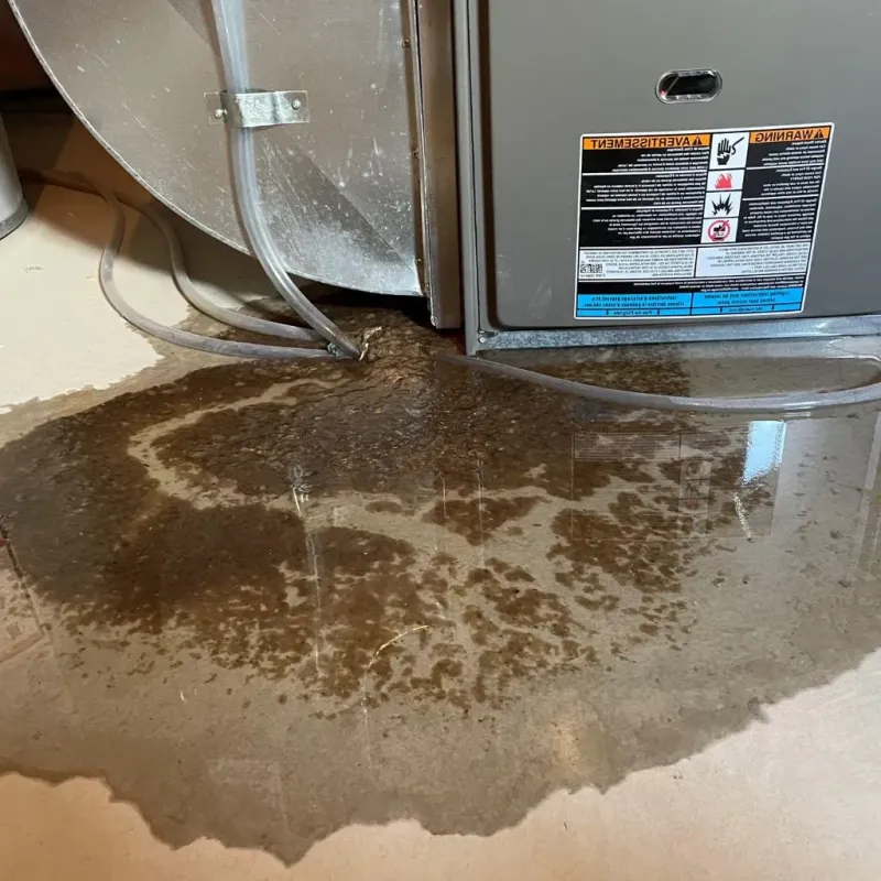 Pipe Burst and Leak Restoration in Crossville, TN